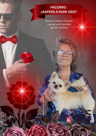 Click to view more details