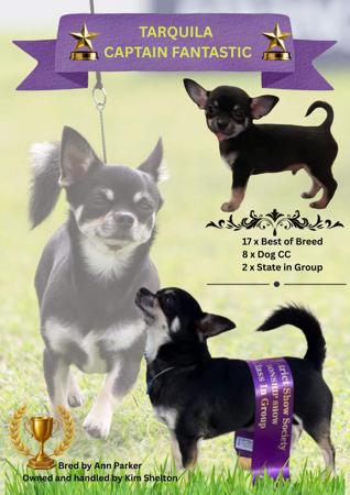 Click to view more details