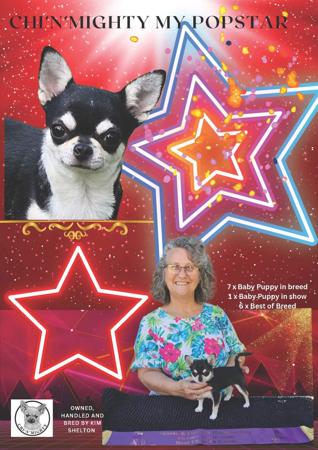 Click to view more details