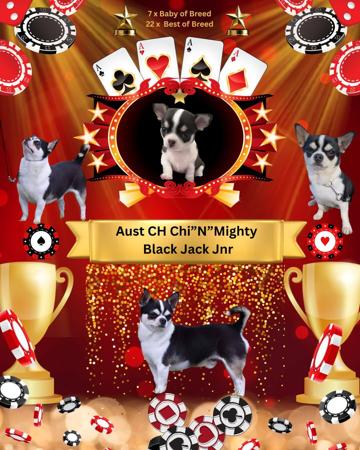 Click to view more details