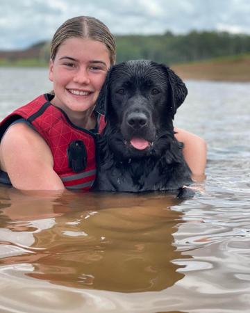 Labrador Retriever for sale by MARLINLABS