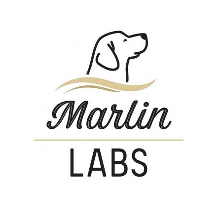 Labrador Retriever for sale by MARLINLABS