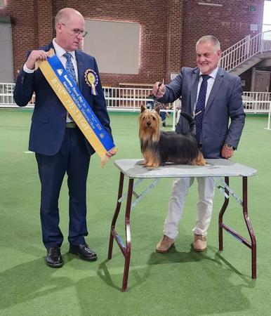 Click to view more details