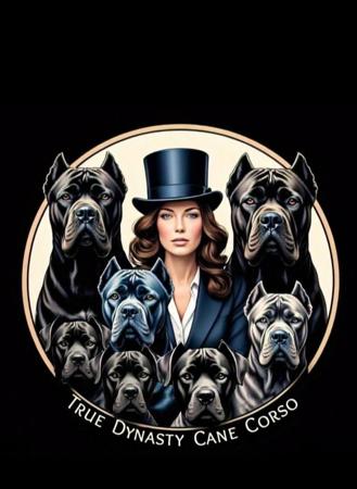 Cane Corso for sale by TRUEDYNASTY