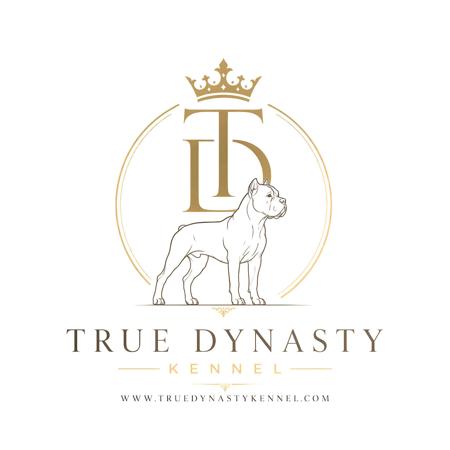Cane Corso for sale by TRUEDYNASTY