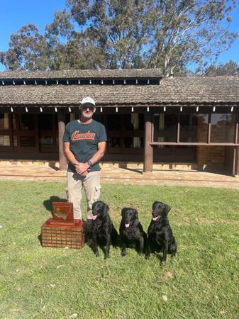 Labrador Retriever for sale by FLYNNMAC