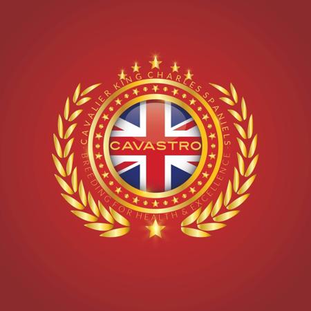 French Bulldog for sale by CAVASTRO