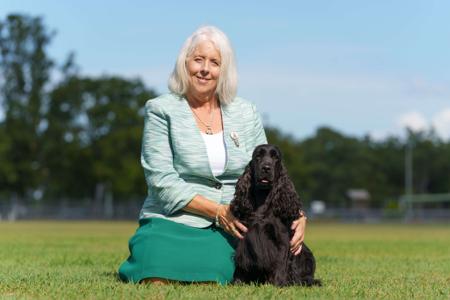 Cocker Spaniel for sale by BRAYROAN