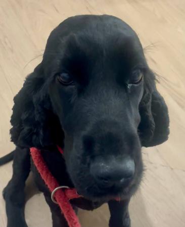 Click to view more details