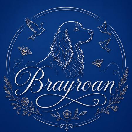 Cocker Spaniel puppy for sale by BRAYROAN