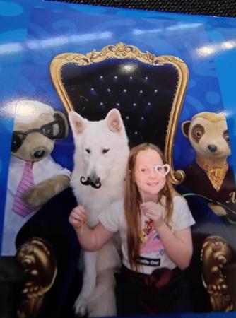 White Swiss Shepherd Dog for sale by FERNTHISTLE