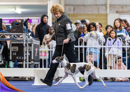 Click to view more details