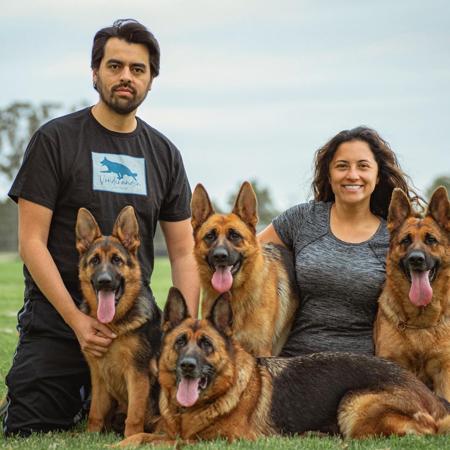 German Shepherd Dog for sale by VONDERANDEN