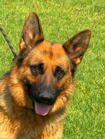 Click to view more details