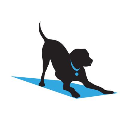 Affenpinscher for sale by DOGZONLINETEST12