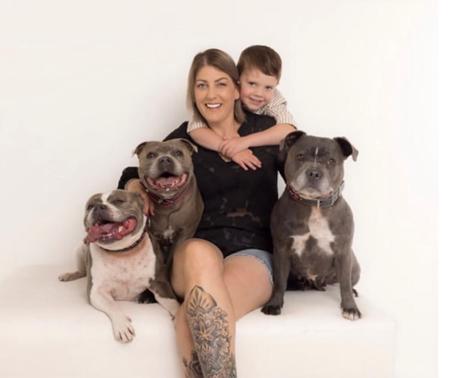 Staffordshire Bull Terrier for sale by COUNTHESTARS