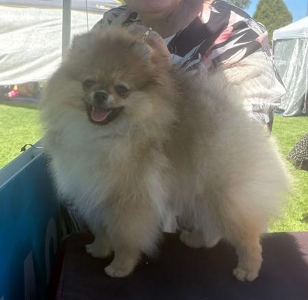 Click to view more details