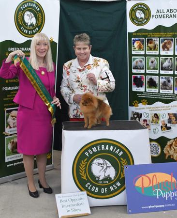 Click to view more details