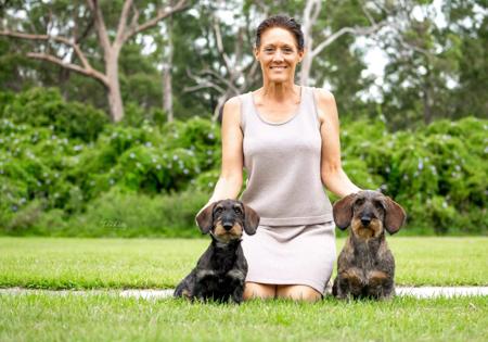 Dachshund (Wire Haired) for sale by KIZATRI