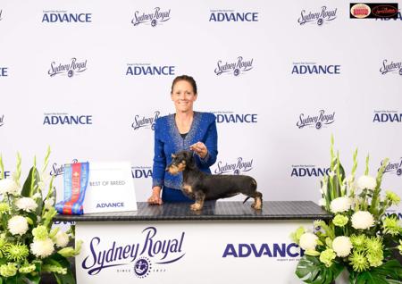 Click to view more details