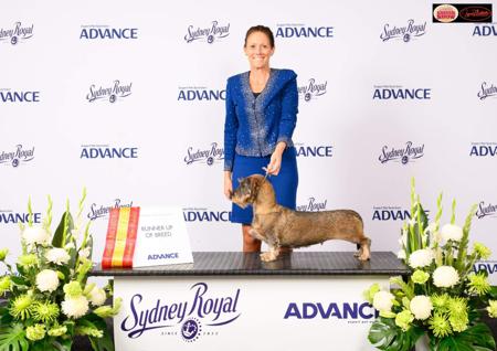 Click to view more details