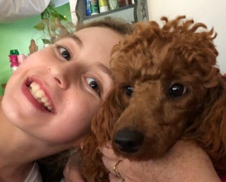 Poodle (Miniature) for sale by QTPYZE