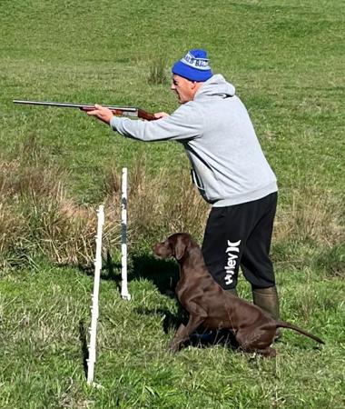 German Shorthaired Pointer for sale by TOOLERN