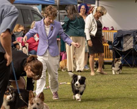 Woofame Mo Chara Caoimhe Border Collie