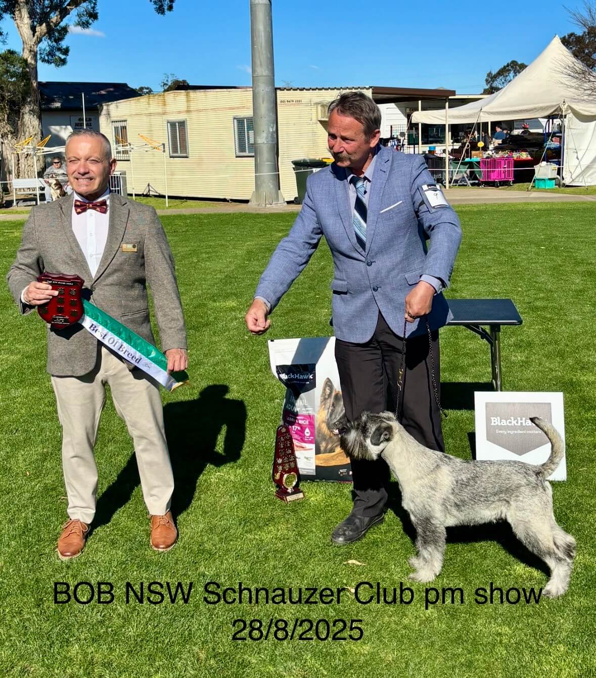 Ch. Raksha Rayners Reward Schnauzer - Owned by A. & M. Bridge