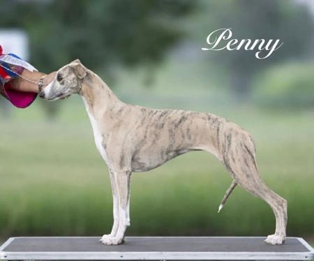 Click to view more details