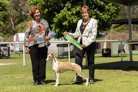 Click to view more details