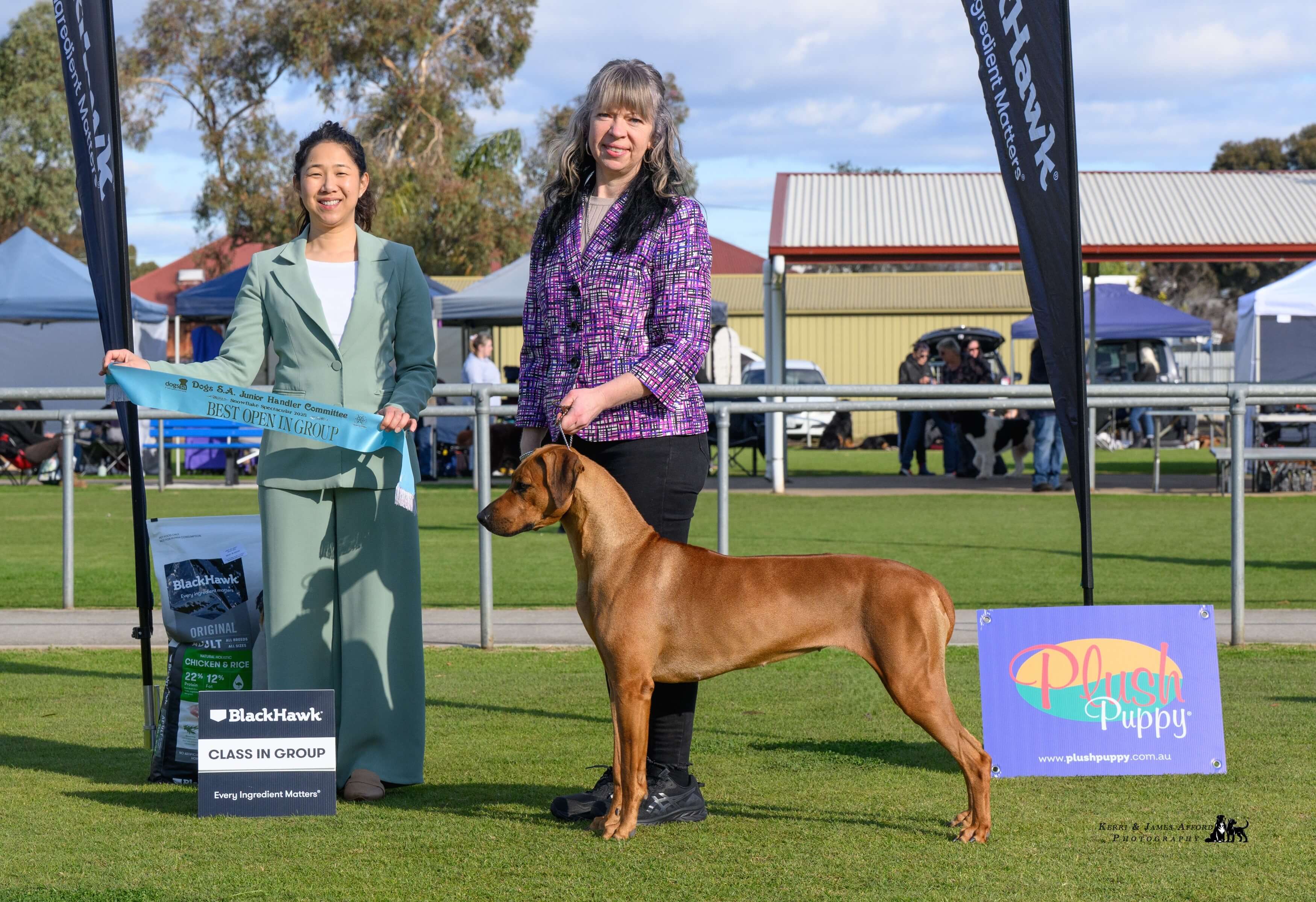 Shakuru Rhodesian Ridgebacks AUST CHAMPION Marandela Take The Money N Run Rhodesian Ridgeback ...