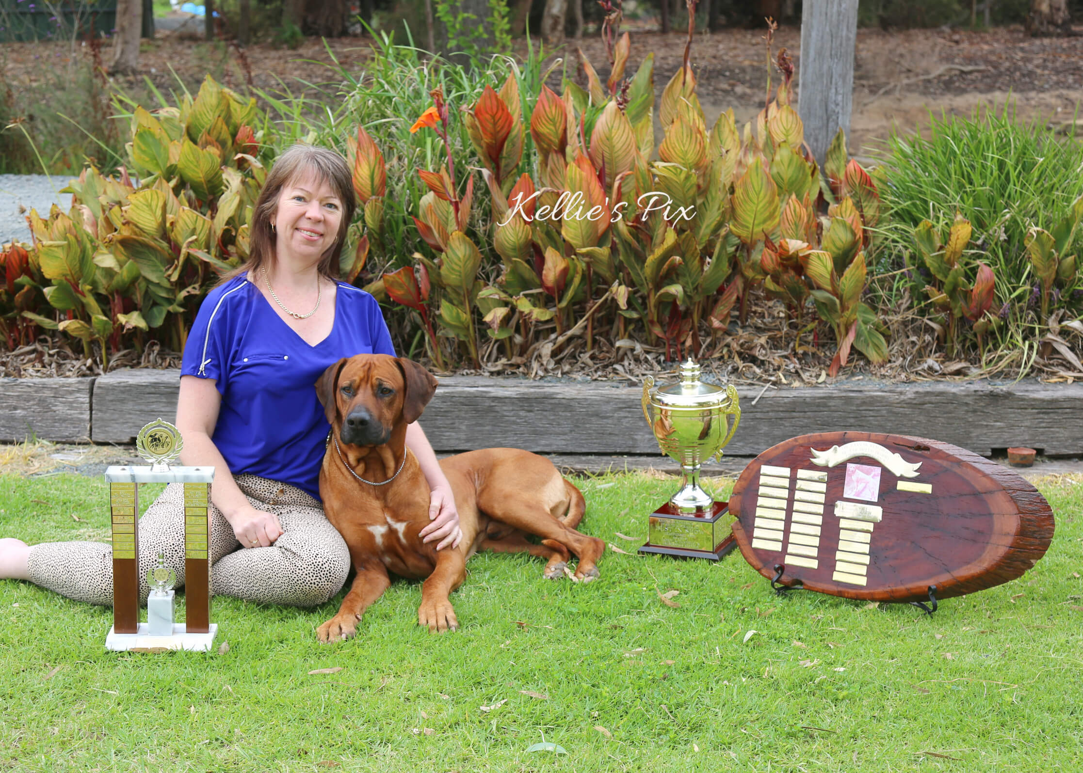 Shakuru Rhodesian Ridgebacks MBISS AUST CHAMPION Shakuru Beat It Rhodesian Ridgeback - Owned by ...