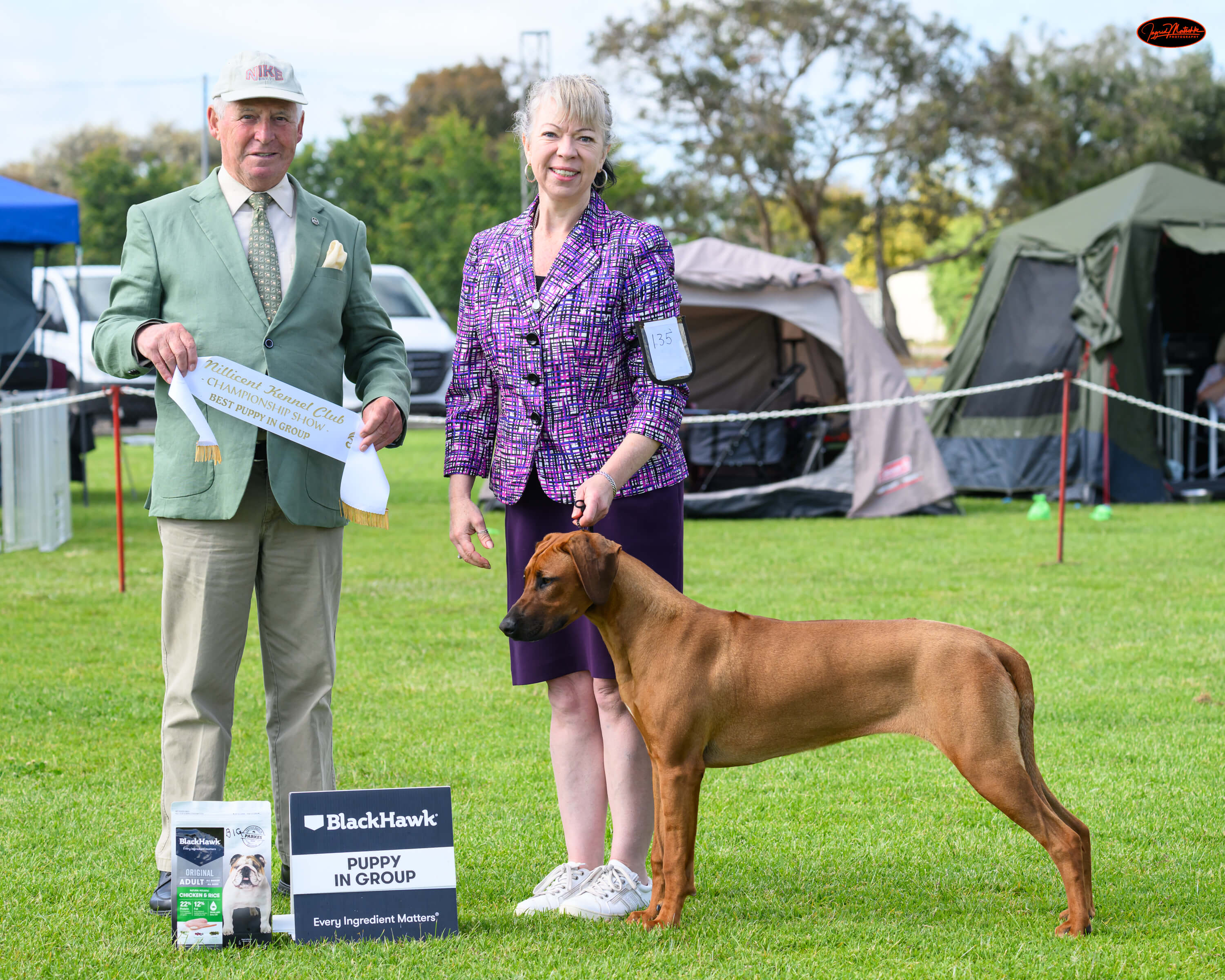 Shakuru Rhodesian Ridgebacks Shakuru Flick Of The Switch Rhodesian Ridgeback - Owned by Rebecca Lamb