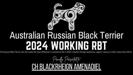 Russian Black Terrier for sale by HAUSNOIR