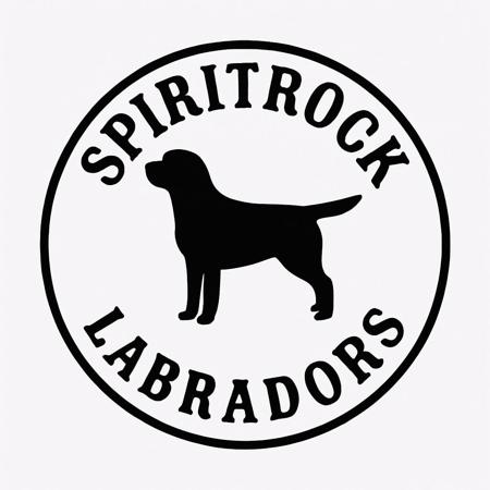 Labrador Retriever for sale by SPIRITROCK