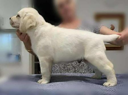 Click to view more details