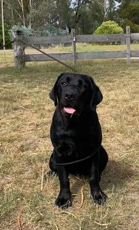 Click to view more details