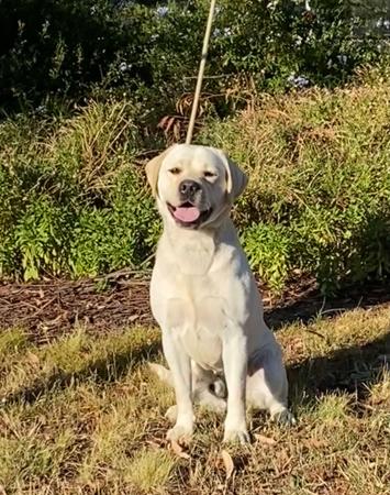 Click to view more details