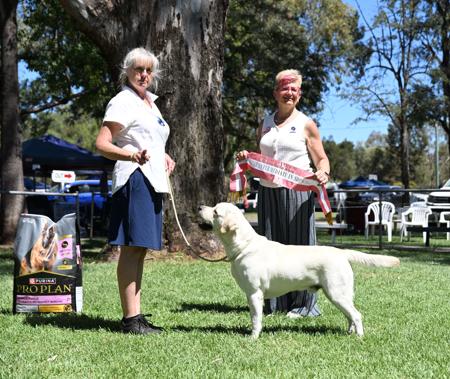 Click to view more details