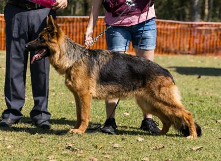 Click to view more details