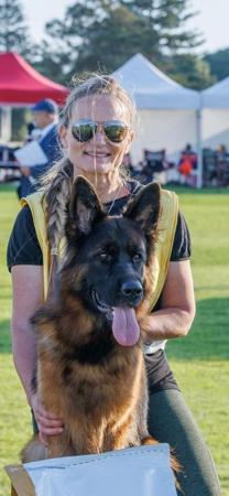 German Shepherd Dog (Long Stock Coat) for sale by GABMALU