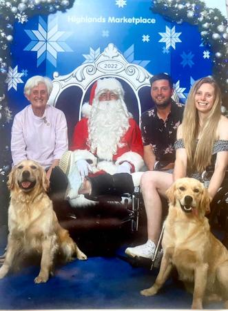 Golden Retriever for sale by BURREMAH