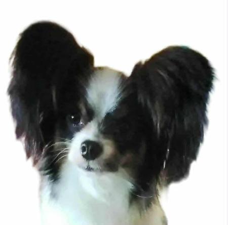 Click to view more details