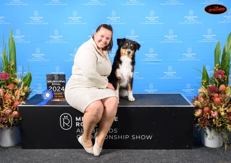 Australian Shepherd for sale by AUSSYPAW