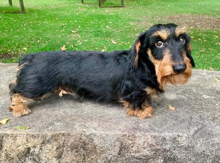 Click to view more details