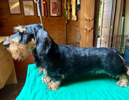 Click to view more details