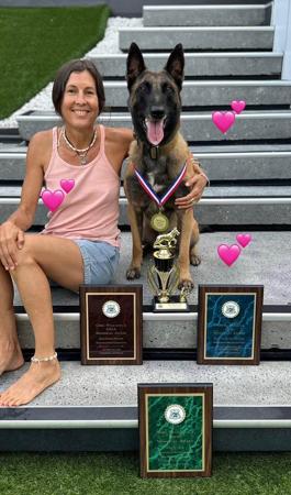 Belgian Shepherd Dog (Malinois) for sale by OBIYOUNG