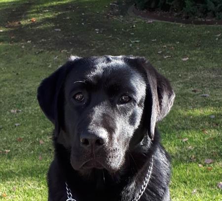 Click to view more details