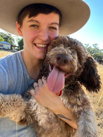 Lagotto Romagnolo for sale by LUDIVINE